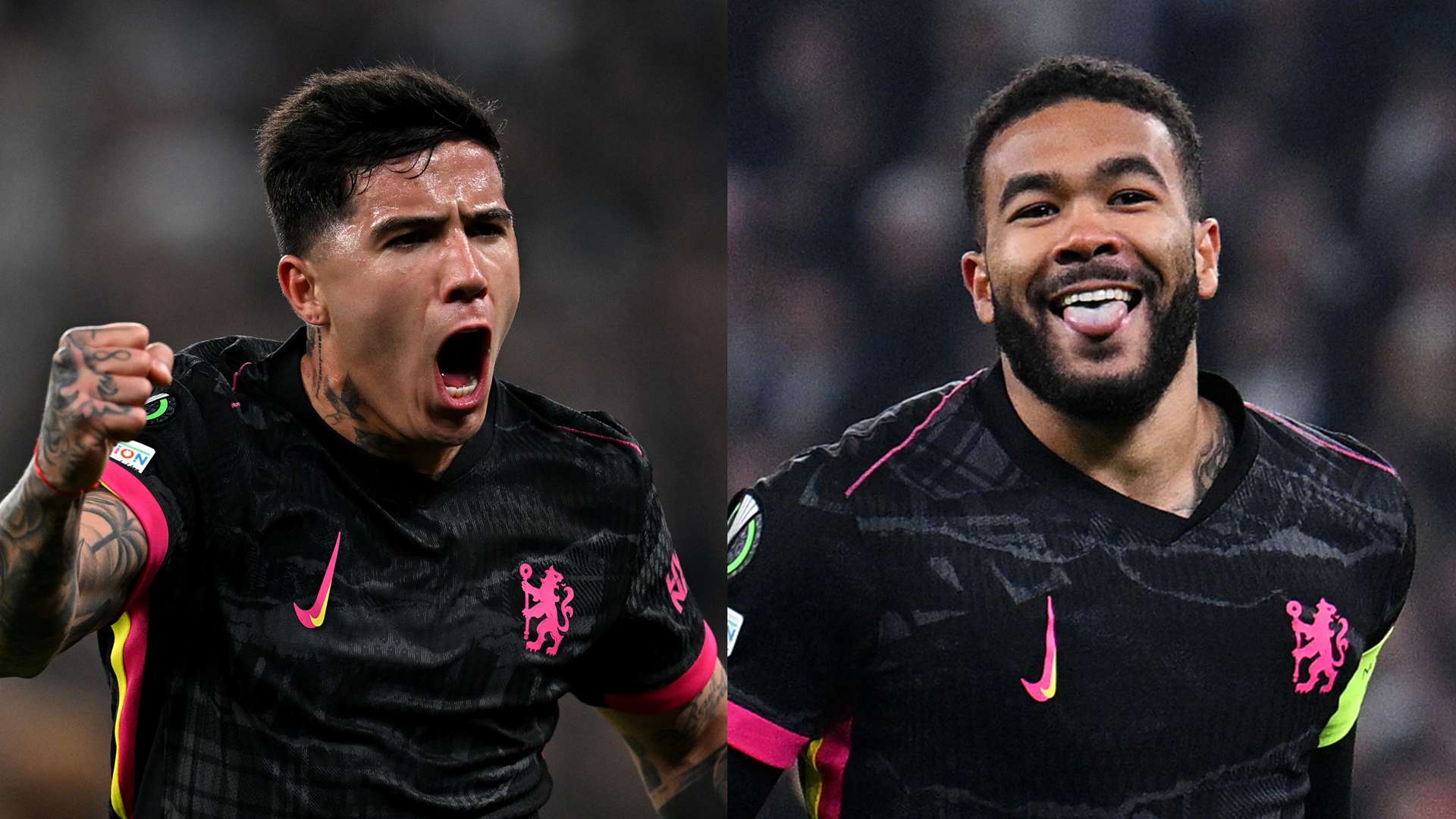 费屡创新高 费屡创新高